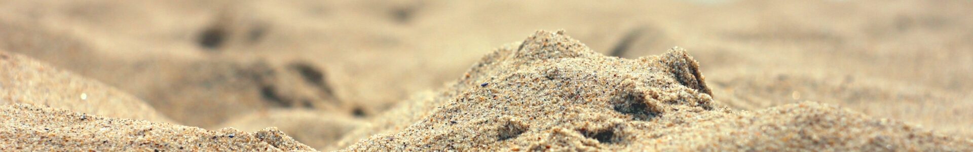 Объективная Матрица Сознания: Песчаный пляж Нашего Существования